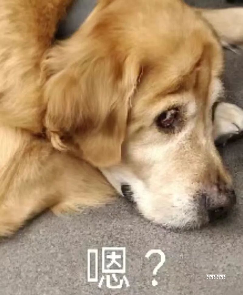 选择营销费用管理系统，不能一味追求低价